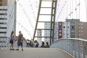 Basel Trinational Eurodistrict - Involving inhabitants in thinking about the future of their trinational region