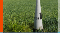 An ITEM report on the European elections and border regions